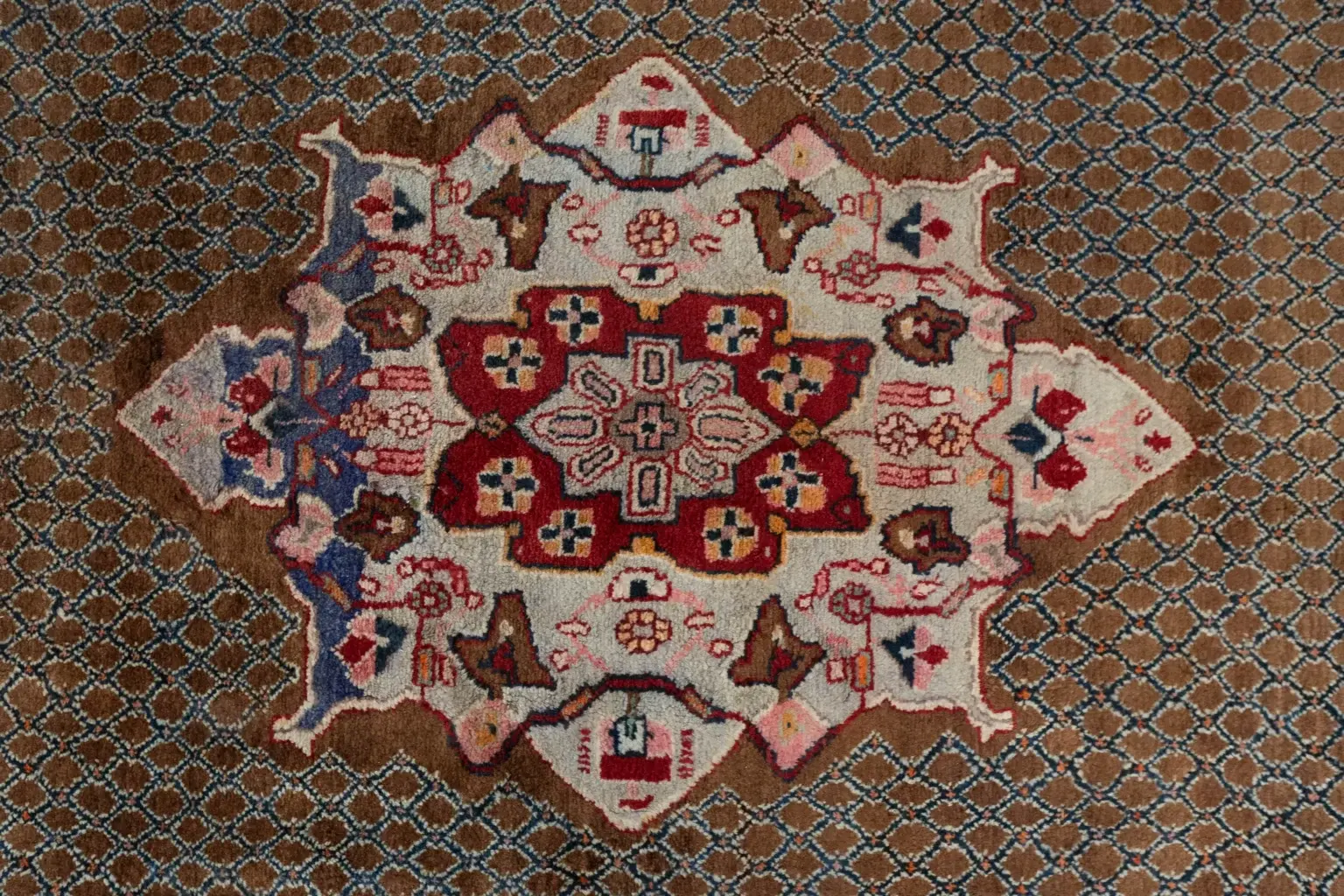 Hamadan Wool Rug 5.5 x 8.5 View 4
