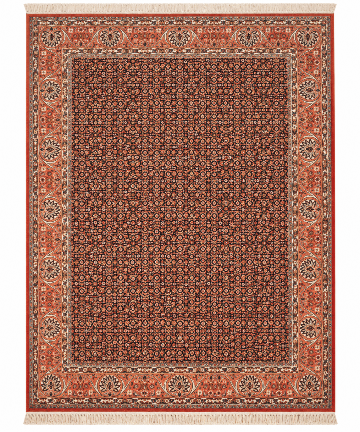 Bidjar Kork Wool Rug – 8'2" × 9'6"