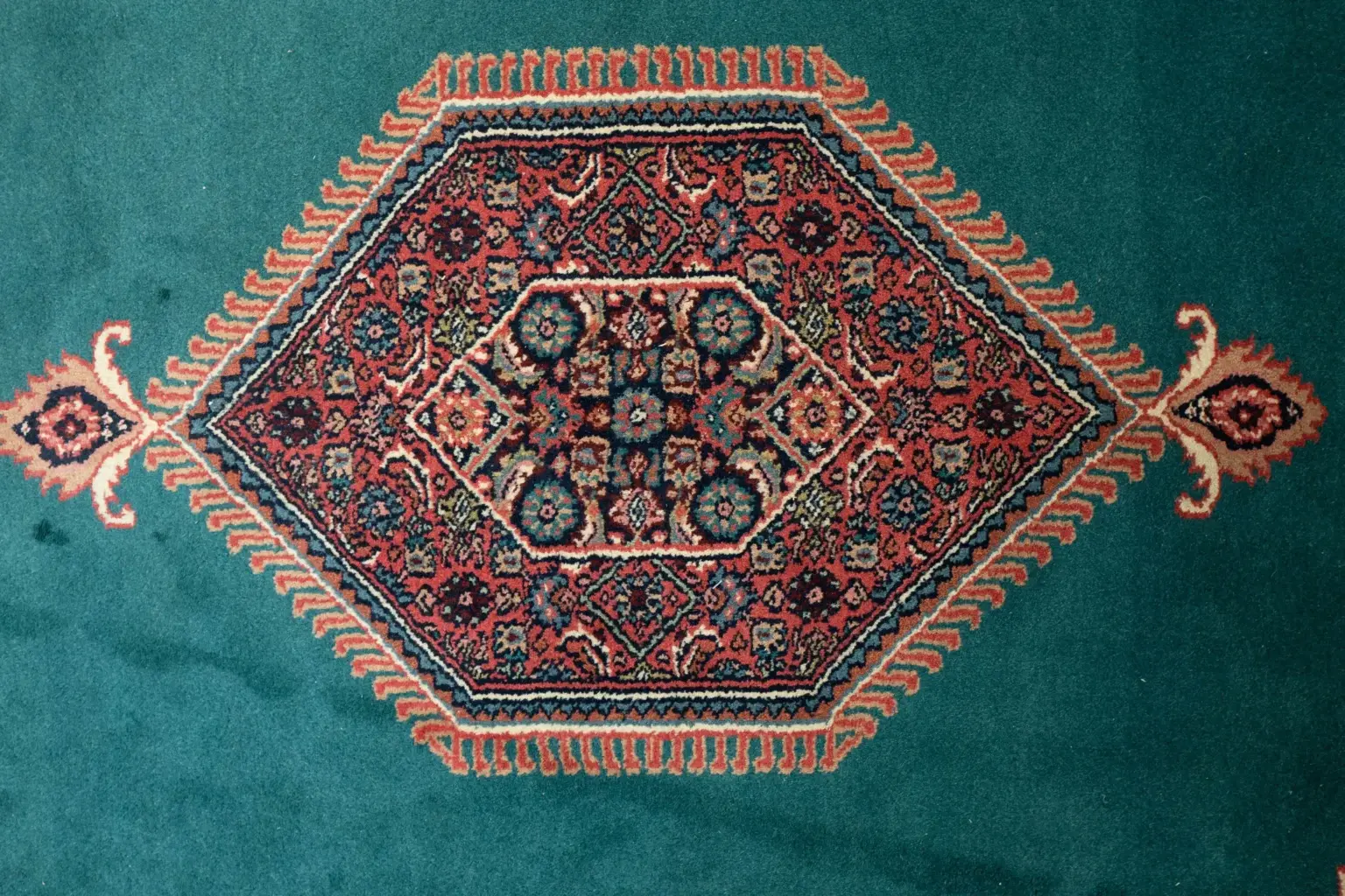 Bidjar Wool Rug 6 x 9' View 1