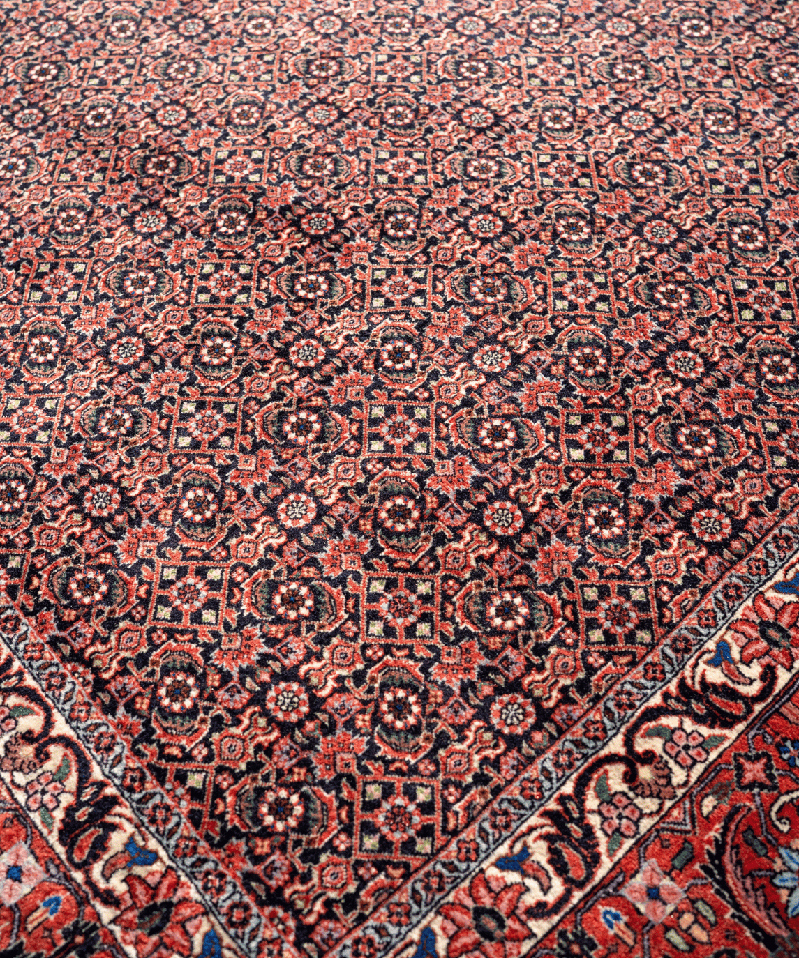 Traditional Bidjar Kork Wool Handwoven Oriental Rug – 8'4" × 8'2" View 2