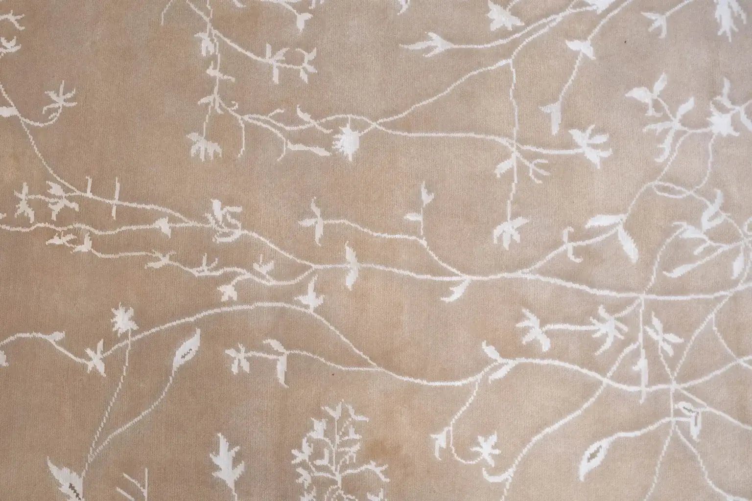 Tibet Wool Silk Rug 6 x 9' View 3