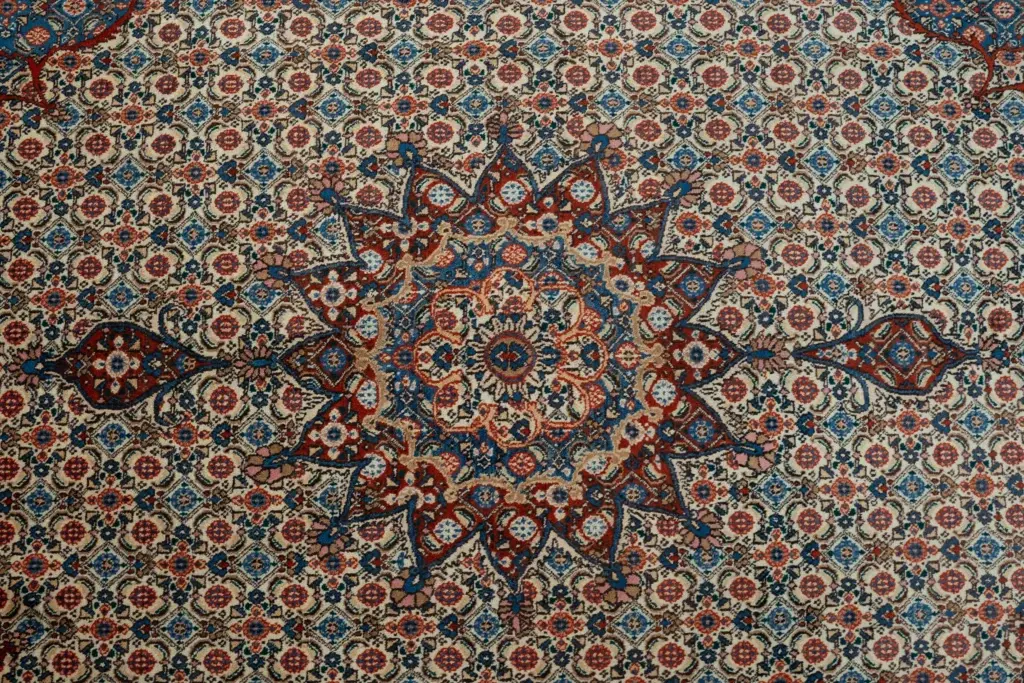 Moud Wool Rug 6.6x9.6' View 1