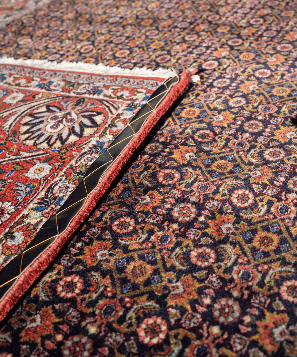 Bidjar Kork Wool Rug – 8'2" × 9'6" View 4