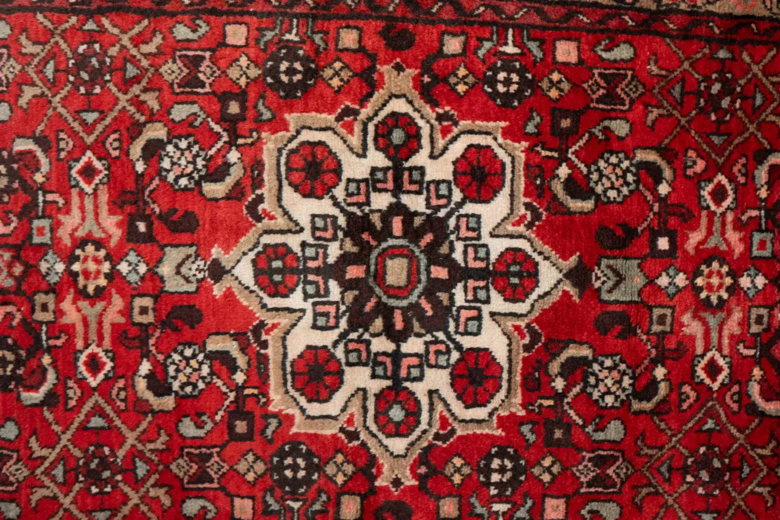 Hamadan Wool Rug 3.0 x 9.0' View 1