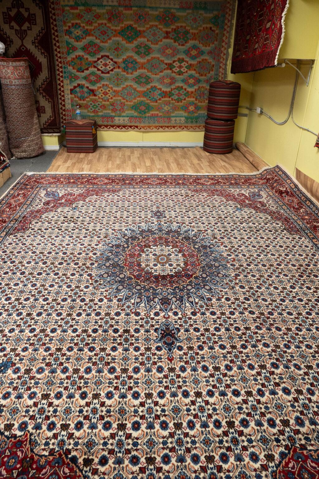 Moud Rug 9.5x12.5 View 11