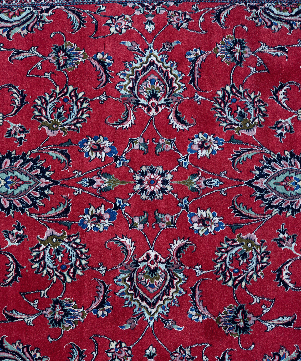 Traditional Bidjar Wool & Silk Handwoven Oriental Runner Rug – 4'0" × 9'5" View 3