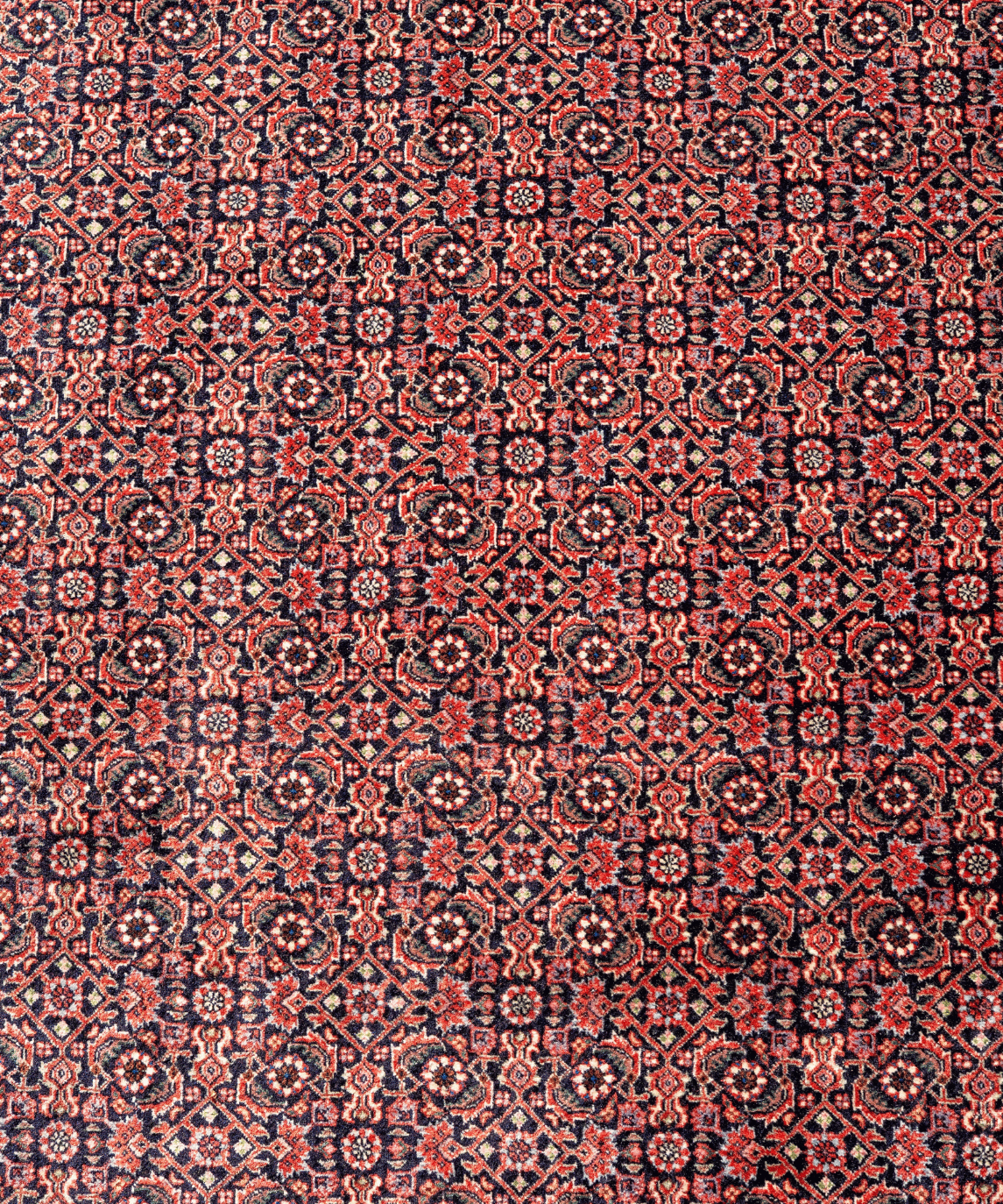 Traditional Bidjar Kork Wool Handwoven Oriental Rug – 8'4" × 8'2" View 3