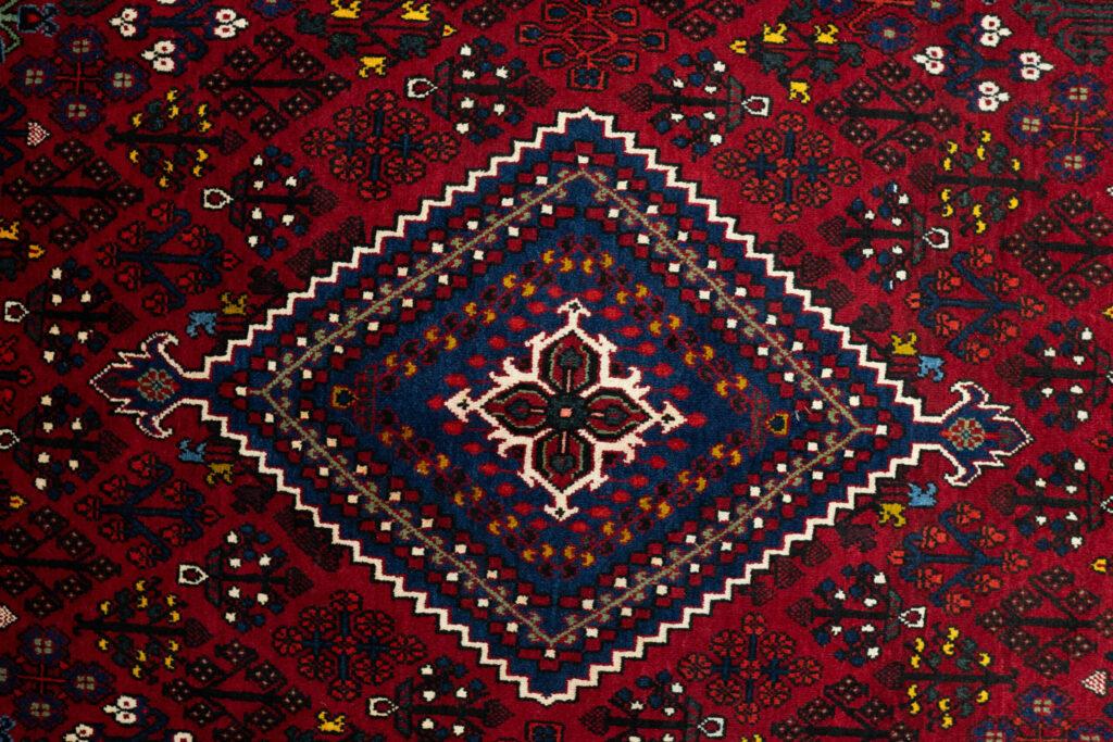 Joshghar Rug 7.0x10.0 View 2