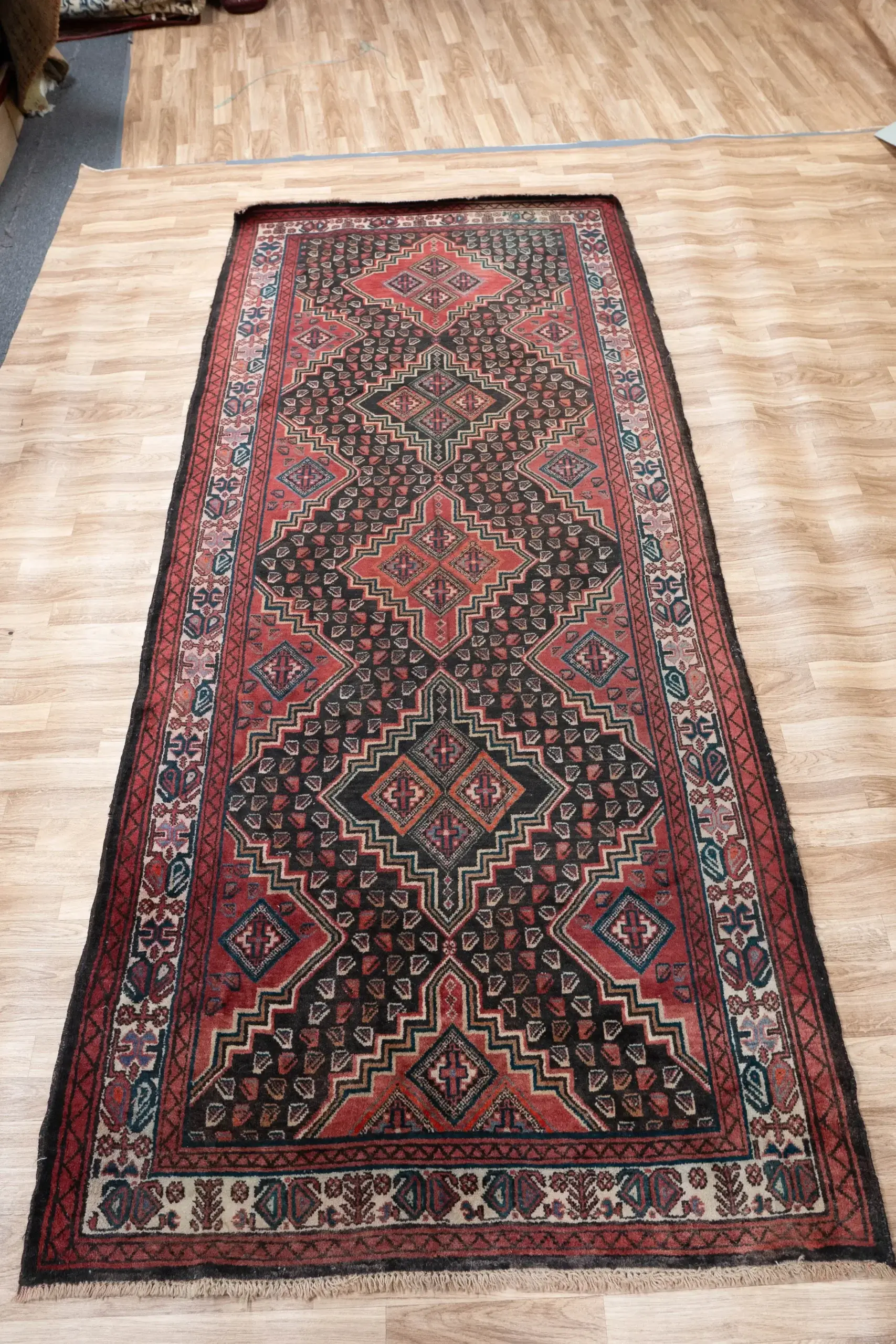Hamadan Wool Rug 4.2 x 9.2 View 2