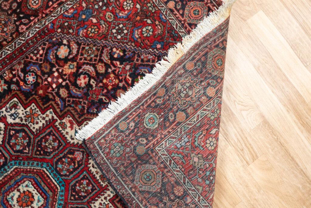 Bidjar Wool Rug 3.0x5.0 View 4