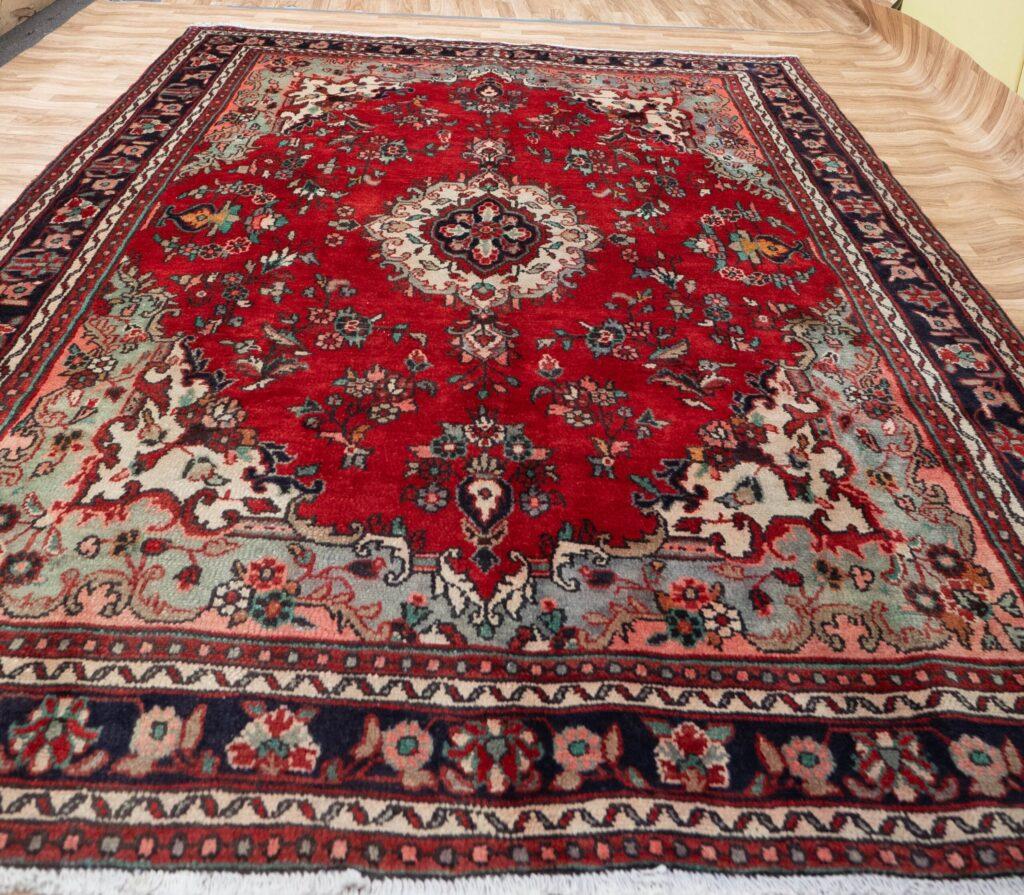 Hamadan Wool Rug 6.7x9.7 View 4