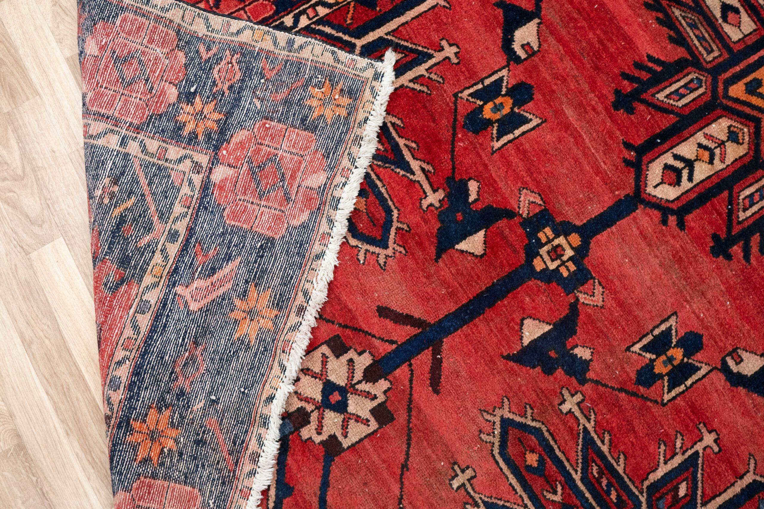 Bakhtiari Wool Rug 9.11x5.3 View 4