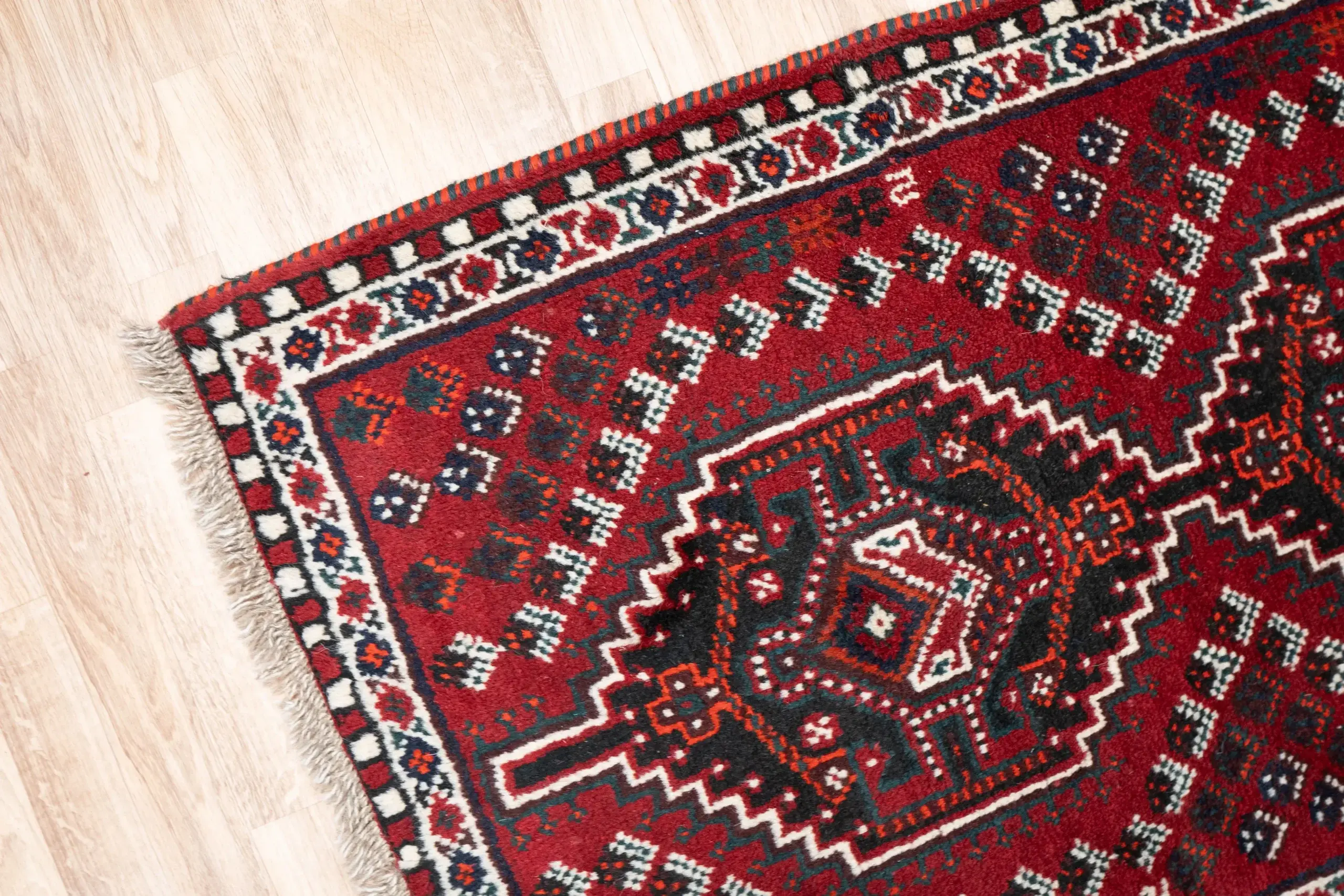 Shiraz  Wool Rug 2.6 x 4.0 View 2