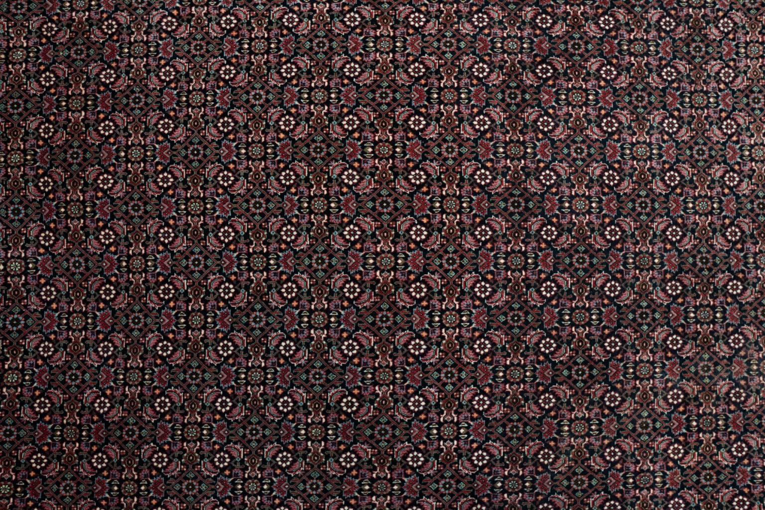 Bidjar Wool Rug 8.3'x11.4' View 4