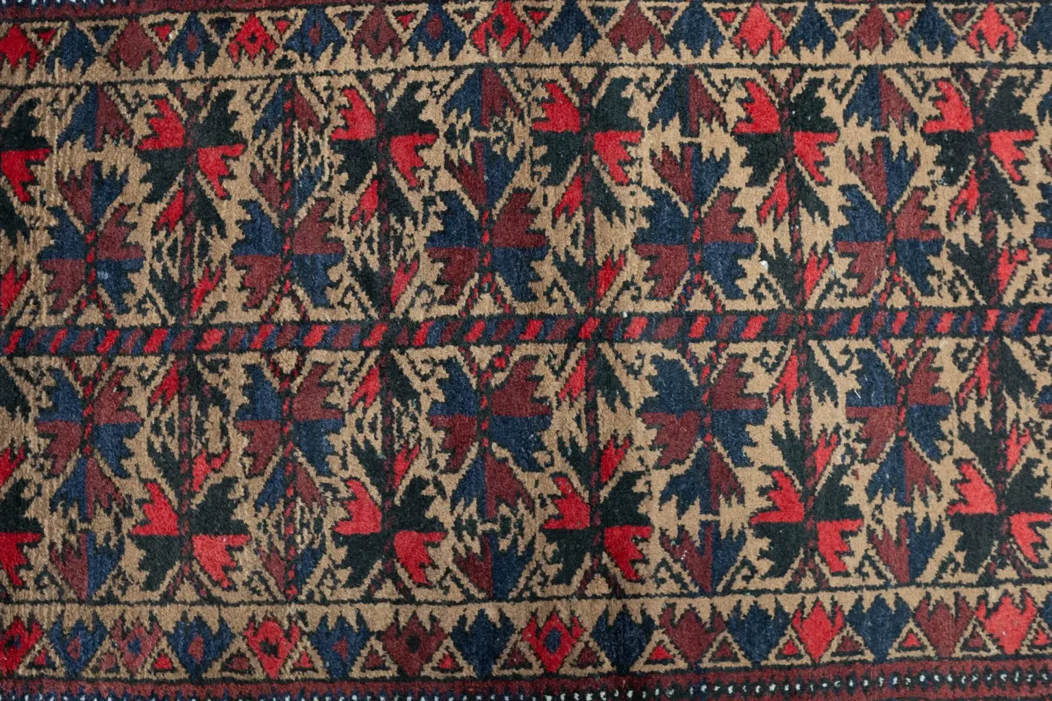 Baluch Low Pile 2.8 × 5.0 View 4