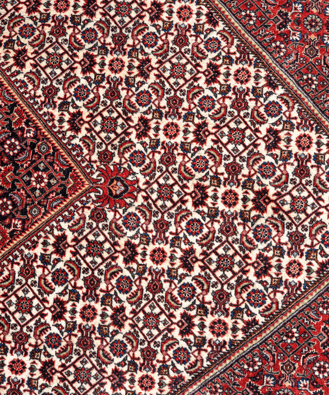 Fine Bidjar Wool & Silk Rug – 10'1" × 12'10" View 4