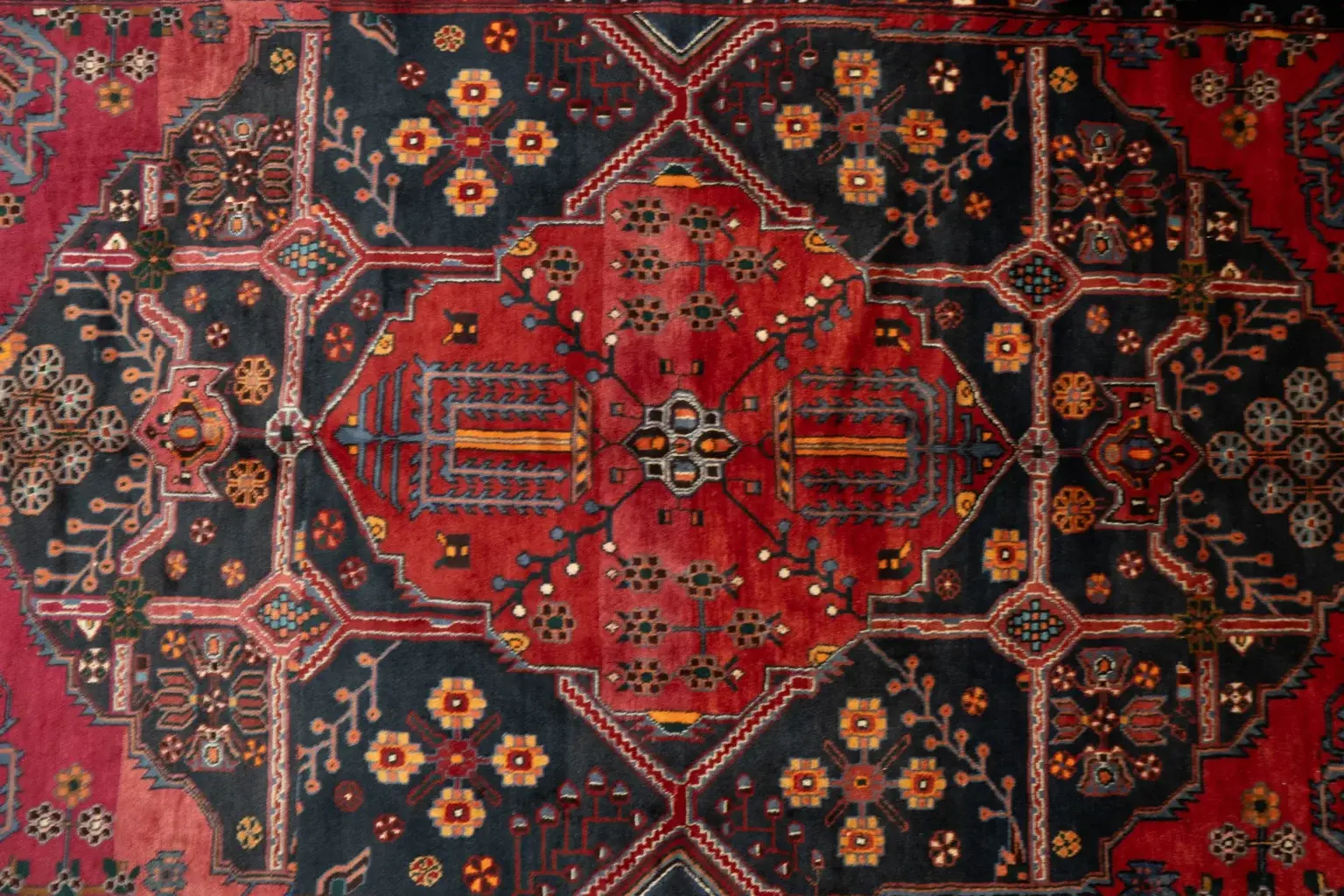 Nahavand Rug 5.5 × 7.8 View 2