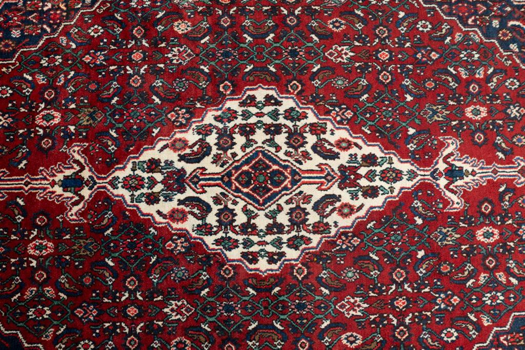 Hamadan Wool Rug 8.5'x11' View 4