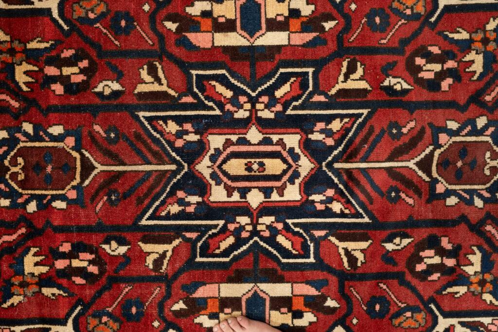 Bakhtiari Wool Rug 5.0x9.7 View 3