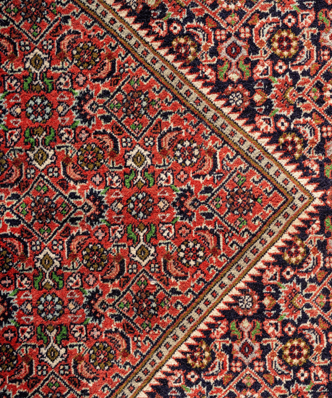 Traditional Bidjar Wool & Silk Handwoven Oriental Rug – 6'7" × 9'7" View 8