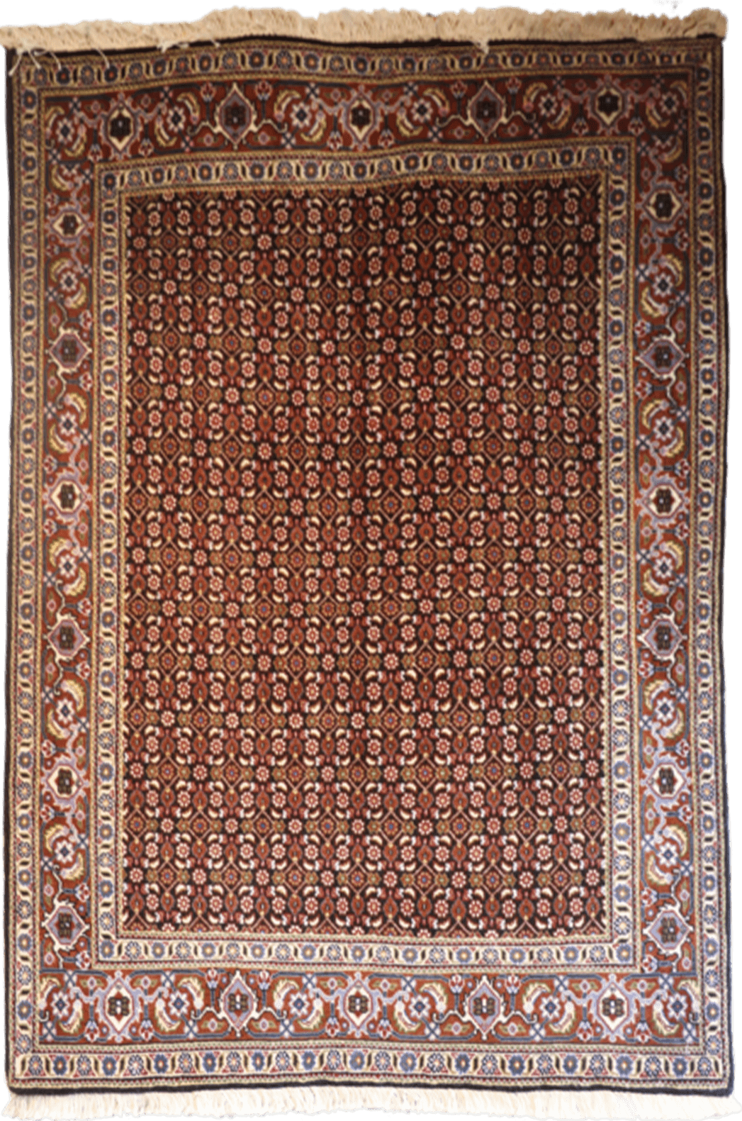 Tabriz Kahwai Wool & Silk 5.2′ x 3.2′