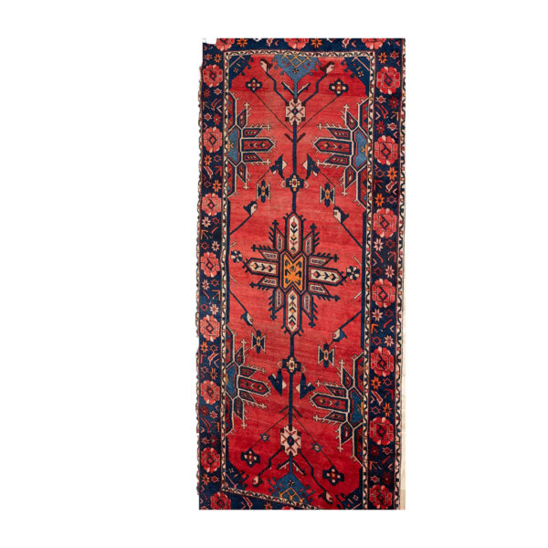 Bakhtiari Wool Rug 9.11x5.3