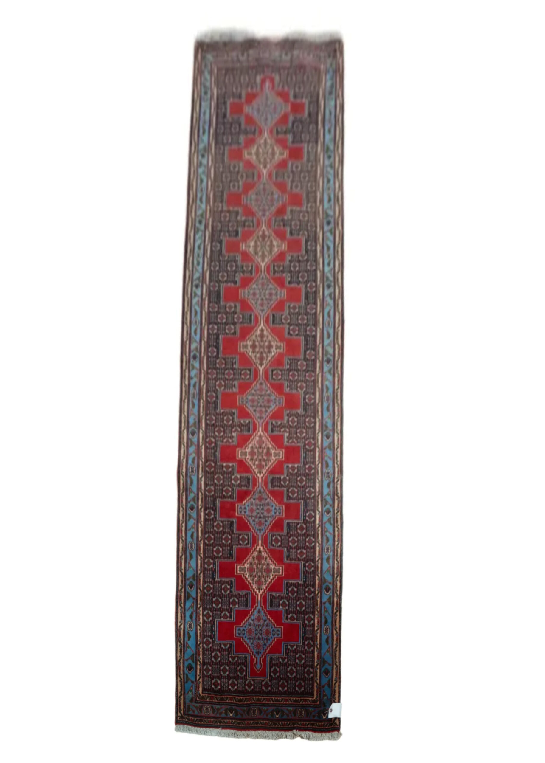 Bidjar Wool Rug 2.9 x 9.3'