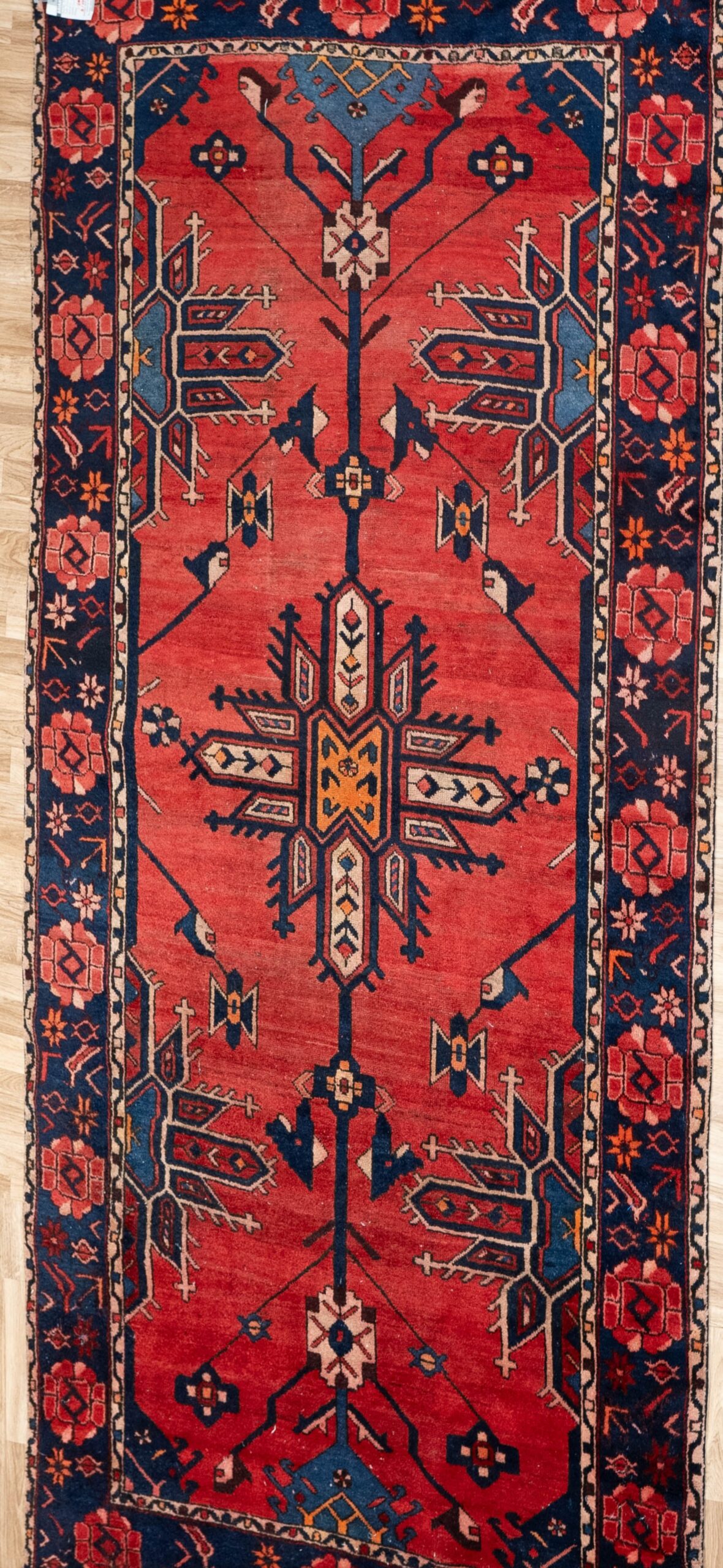 Bakhtiari Wool Rug 9.11×5.3