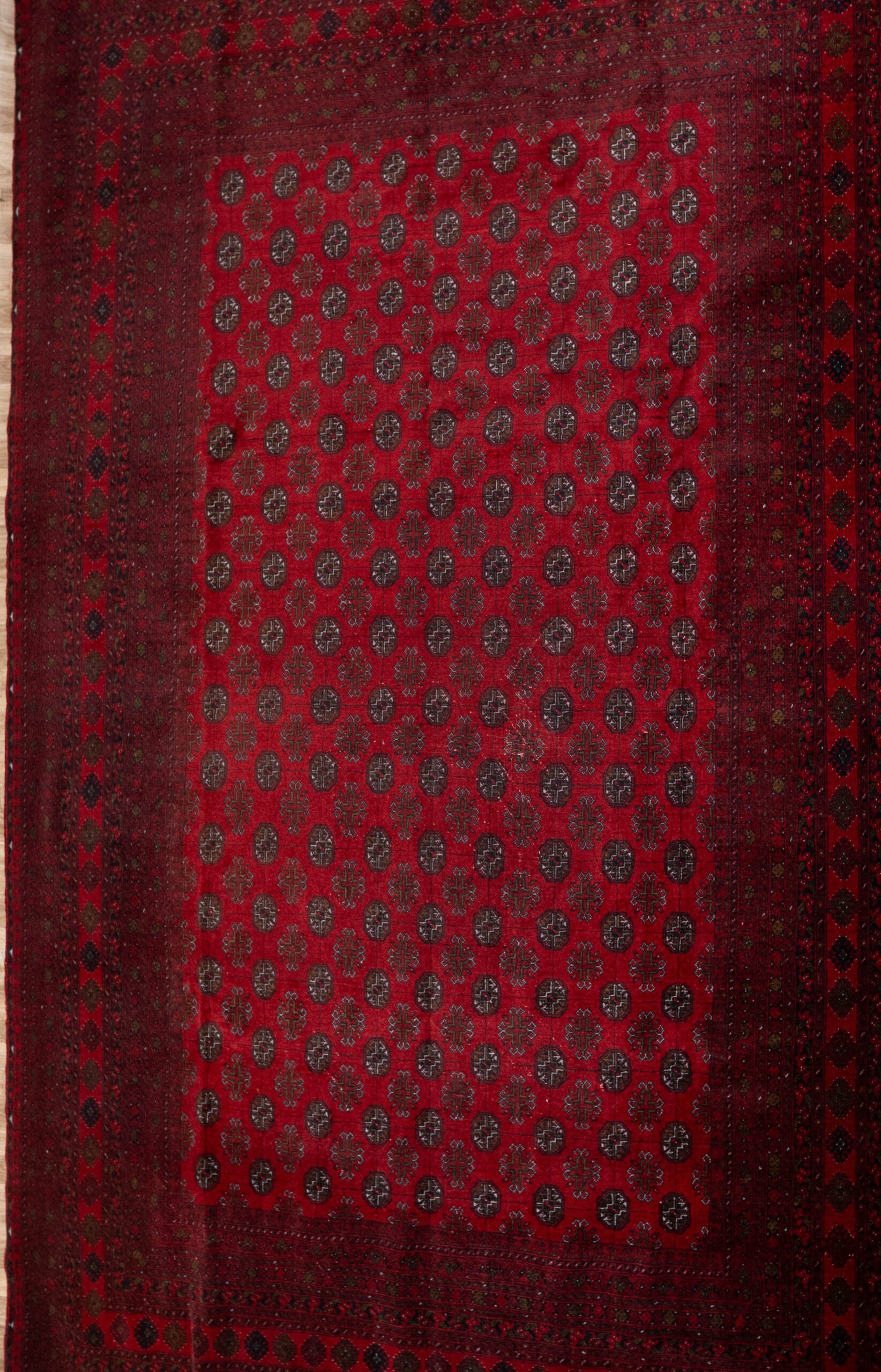 Turkmen Wool Rug 8.3×11.8