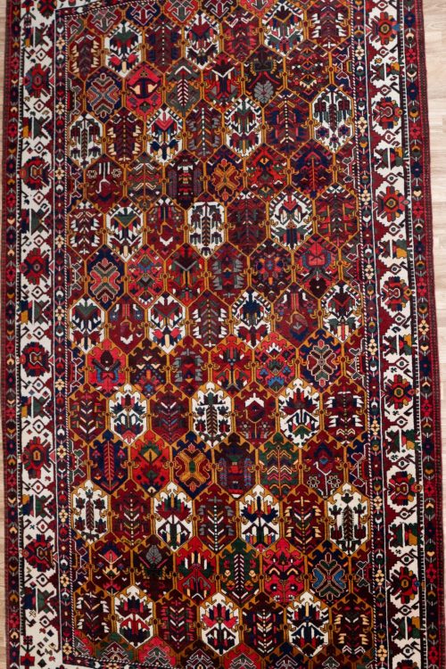 Bakhtiari Wool Rug 6.8×9.8
